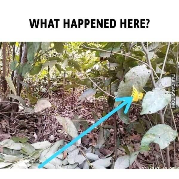 Dirty Indian Non Veg Memes 2