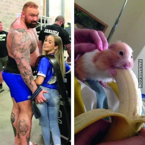 Funny Adult Memes for Men 4