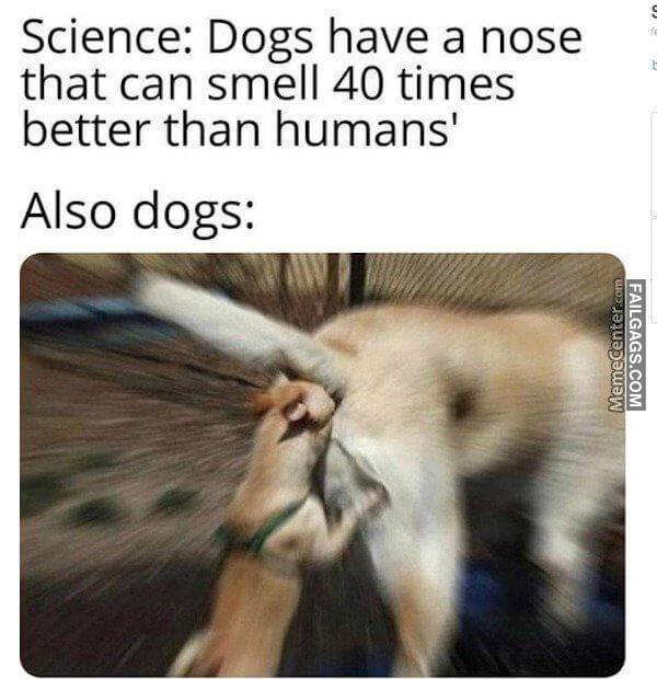 Funny Dirty Memes 1 3