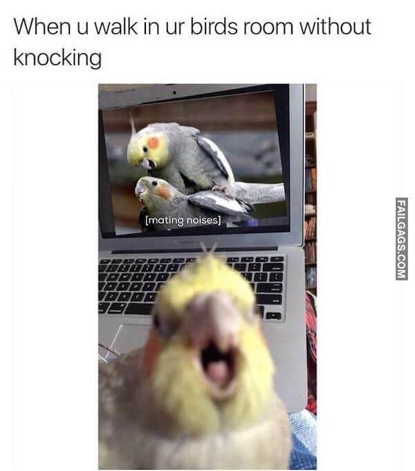 Funny Dirty Memes 10 3