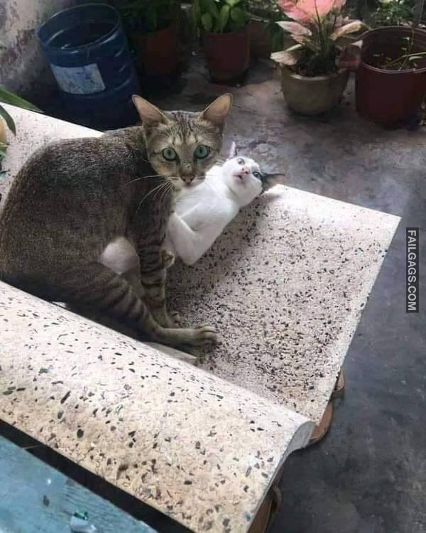 Funny Dirty Memes 7 3