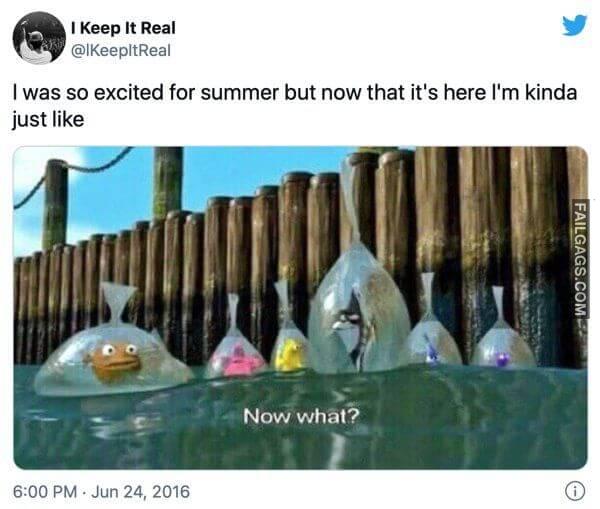 Funny Summertime Memes 2