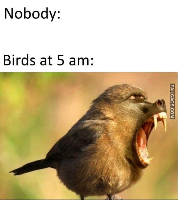 Funny Summertime Memes 3