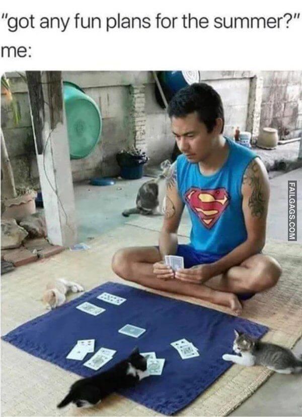 Funny Summertime Memes 9