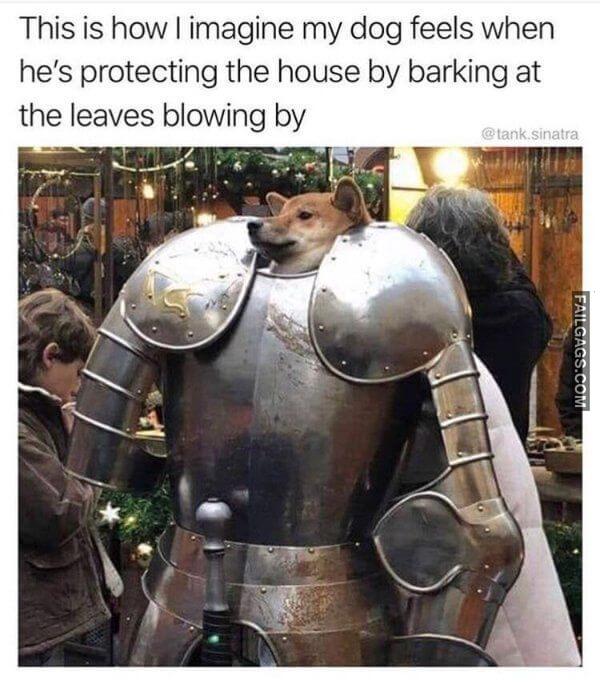 Random Funny Memes 11 6