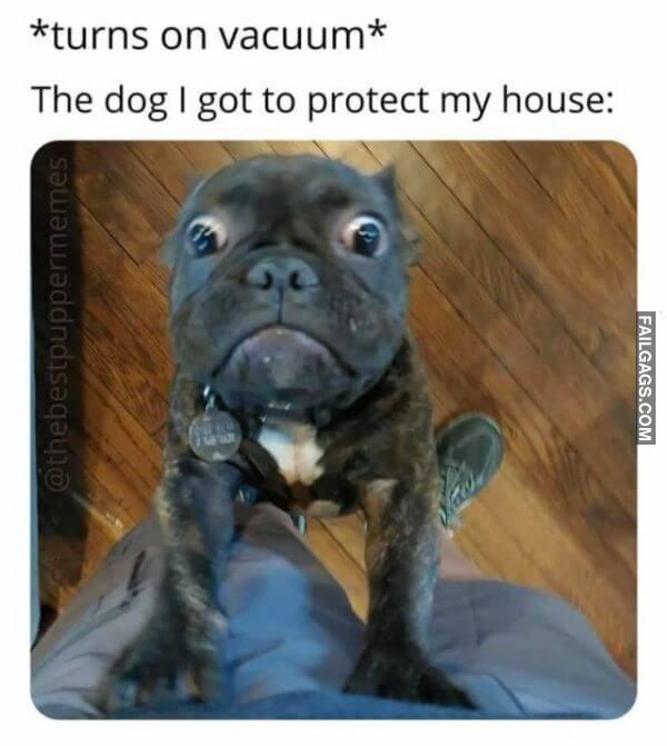 Random Funny Memes 11 9
