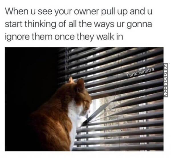 Random Funny Memes 12