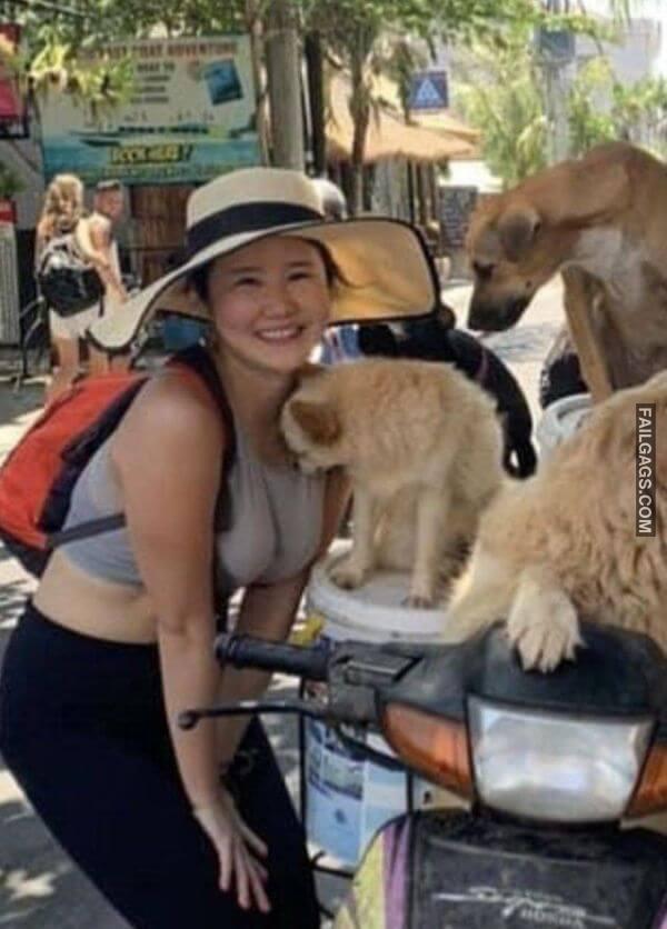Random Funny Memes 13 6