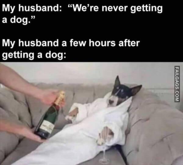 Random Funny Memes 13 7