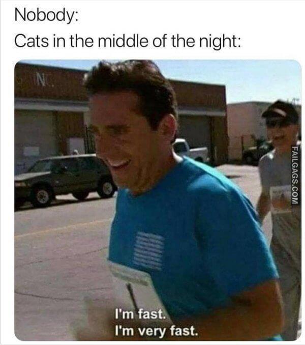 Random Funny Memes 3 3