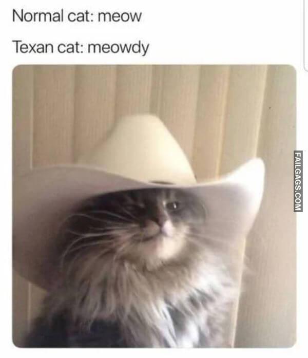 Random Funny Memes 4 8