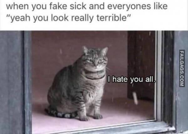 Random Funny Memes 5 4