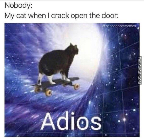Random Funny Memes 5 6