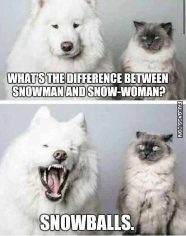 Random Funny Memes 5 8