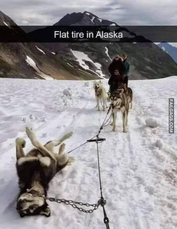 Random Funny Memes 6 8