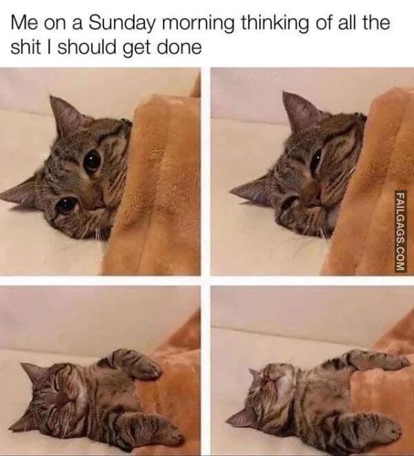 Random Funny Memes 7 8