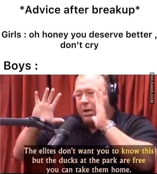 Random Funny Memes 8 1