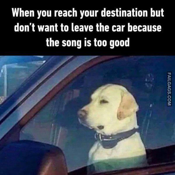 So True Memes 10