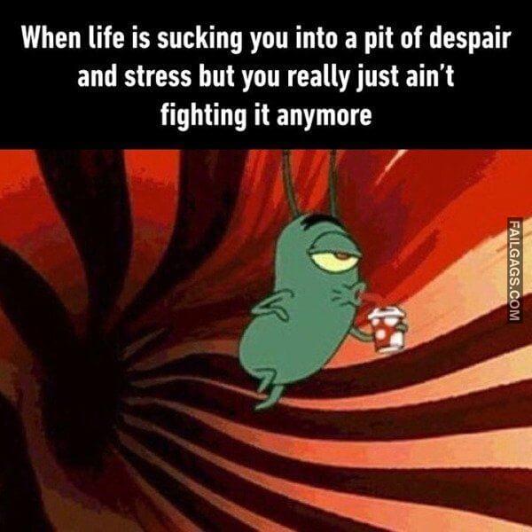 So True Memes 14