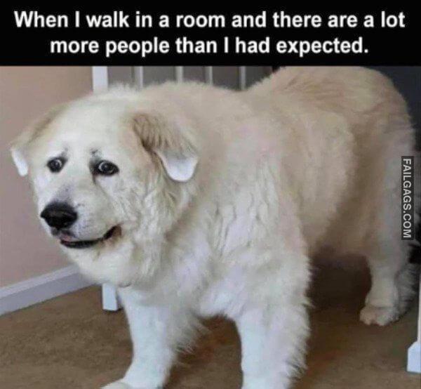 So True Memes 2