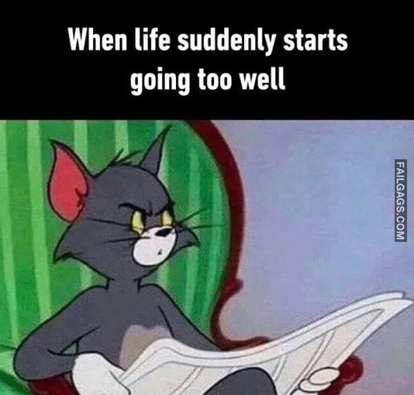 So True Memes 8