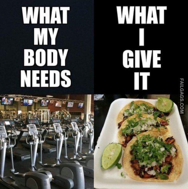 Funny Fat Memes 5