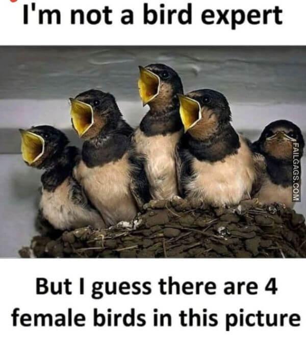 Funny Indian Memes 2