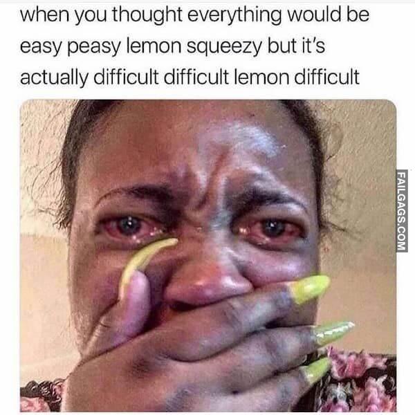 Funny Memes for Women 3 1