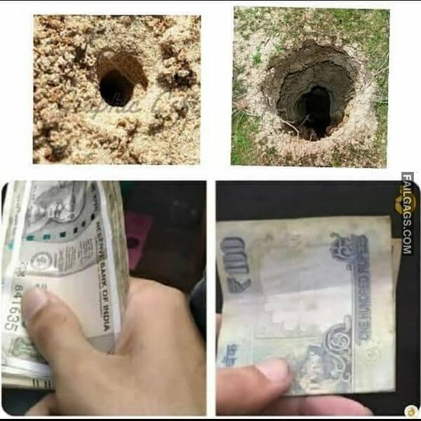 Funny Non Veg Adult Indian Memes 4