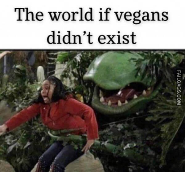 Random Funny Memes 11 11