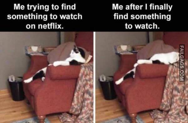 Random Funny Memes 12 10