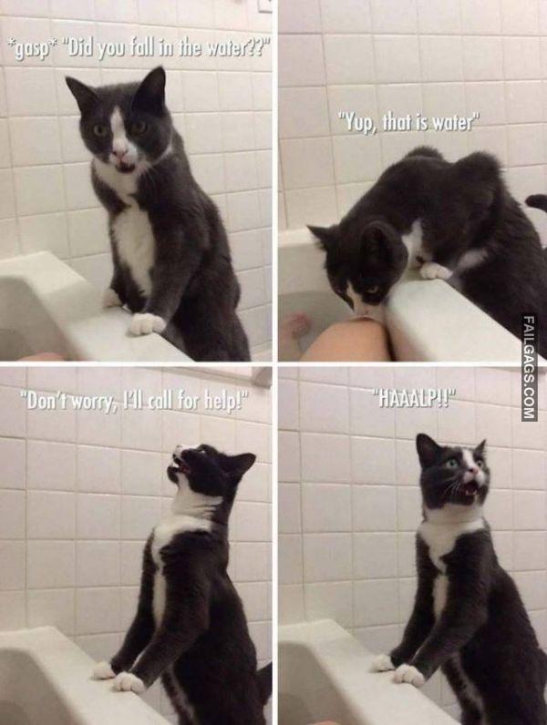 Random Funny Memes 3 5