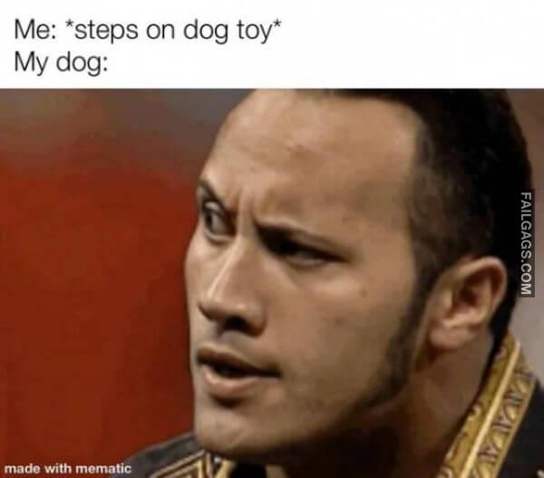 Random Funny Memes 5 4