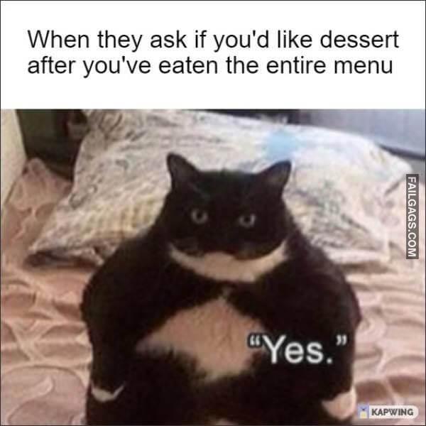 Random Funny Memes 6 13