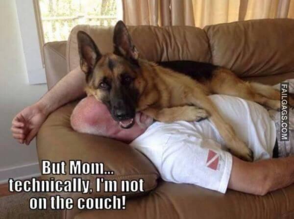 Random Funny Memes 7 10