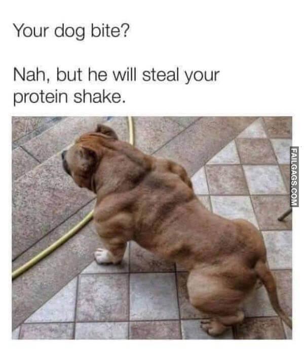 Random Funny Memes 7 12