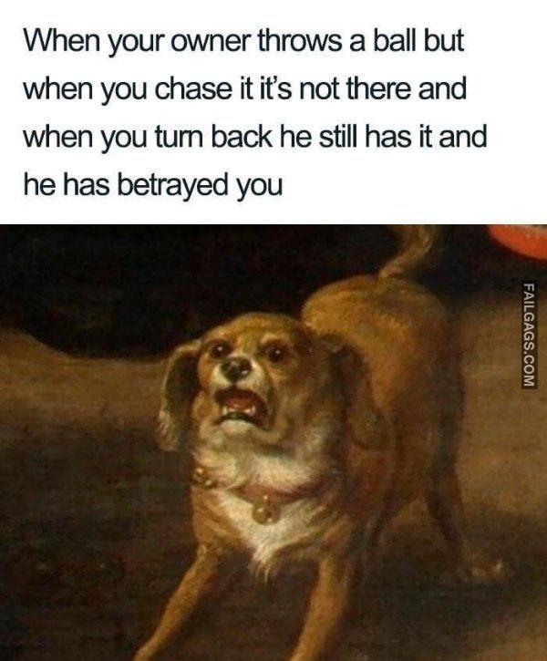 Random Funny Memes 8 5