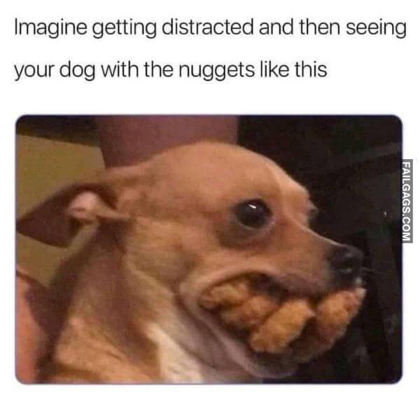 Random Funny Memes 9 1