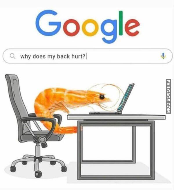 Random Funny Memes 9 2