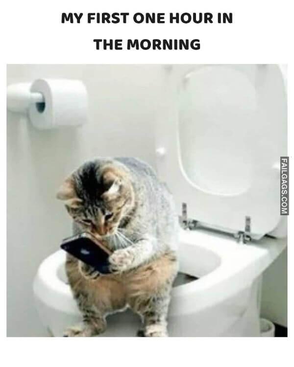 Funny Indian Memes 8