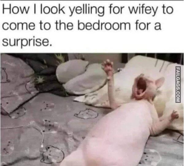Funny Memes for Adults 3