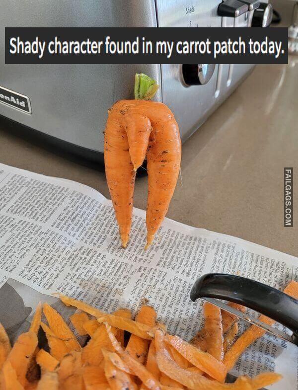 Funny Memes for Adults 5