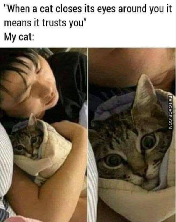 Random Funny Memes 10 4