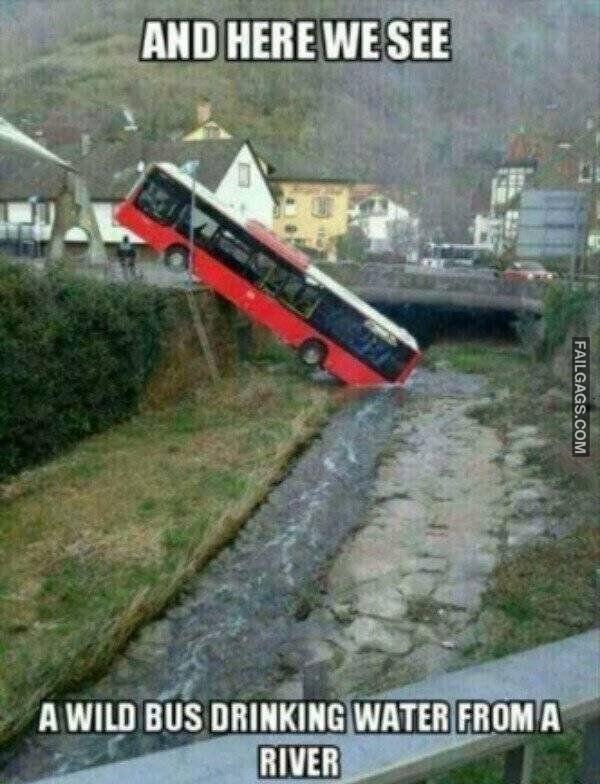 Random Funny Memes 10 9