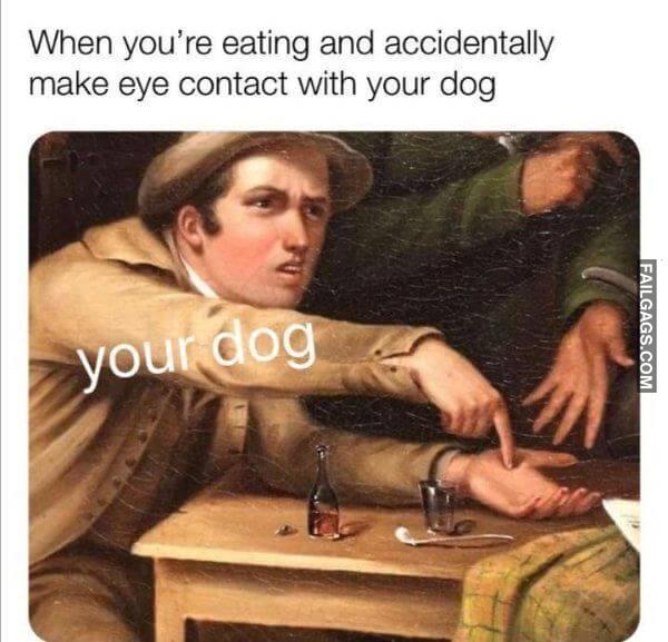 Random Funny Memes 11 7