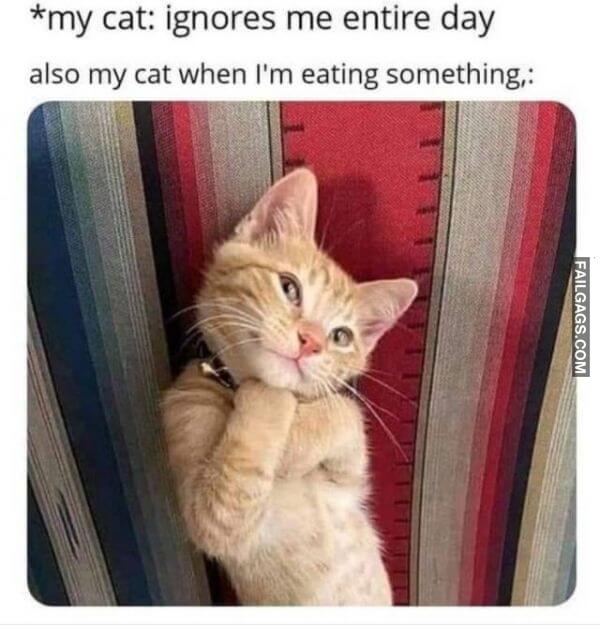 Random Funny Memes 12