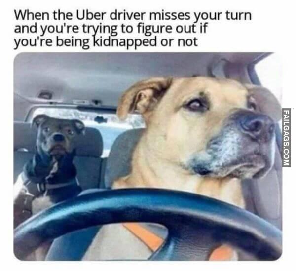 Random Funny Memes 2 3
