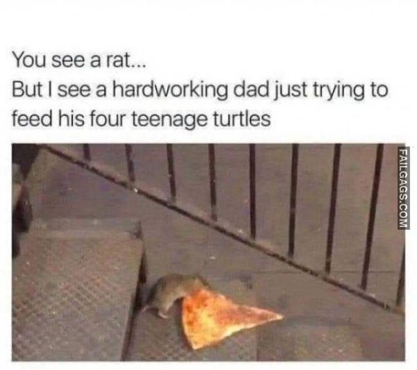 Random Funny Memes 3 10