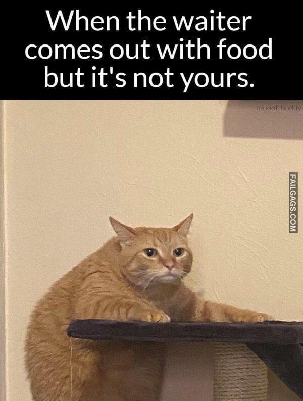 Random Funny Memes 8 9