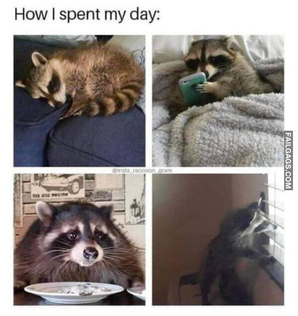 Random Funny Memes 9